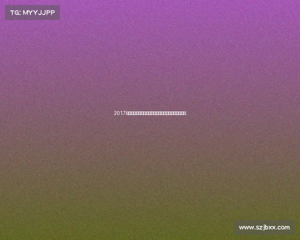 2017武术大赛巅峰对决全球精英汇聚展现中华武术精髓魅力